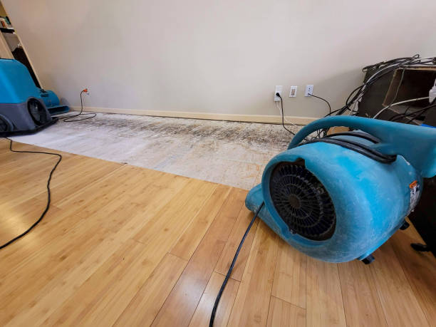 Professional Sewage Cleanup technician working in Good Thunder, MN